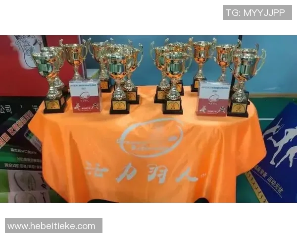 武汉羽毛球队挑战赛表现点评：经验与实力的完美结合分析