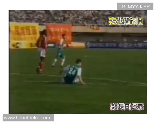 深圳羽毛球队阵地战体系解析与战术运用探讨