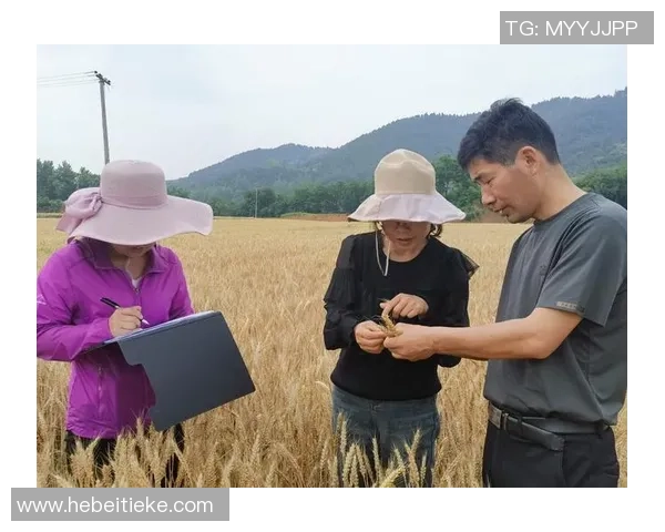 深圳攀岩队的防反策略分析与成效评估探讨