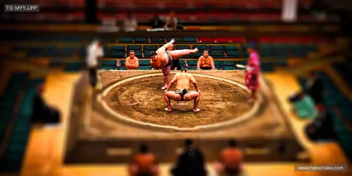 球迷专属装备库,限量潮品一键收藏!🎁